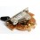 Gotoh DM-30G