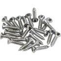 Fender Pickguard/Control Plate Mounting Screws (24) Chrome