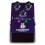 Ampeg Liquifier