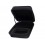 Zoom APQ-2n Soft Case
