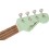Fender Avalon Tenor SFG