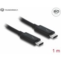 Delock 1 m 5 A Black (20 Gb/s) 84845