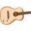 Fender Highway Series Parlor NAT RW