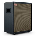 Positive Grid Spark CAB