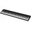 Roland Go Piano 88 RESIGILAT 57743