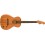 Fender Highway Series Parlor RW All-Mahogany