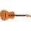 Fender Highway Series Parlor RW All-Mahogany