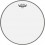 Remo Diplomat Hazy Snare Side 10 SD-0110-00