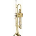 Parrot 6416 L