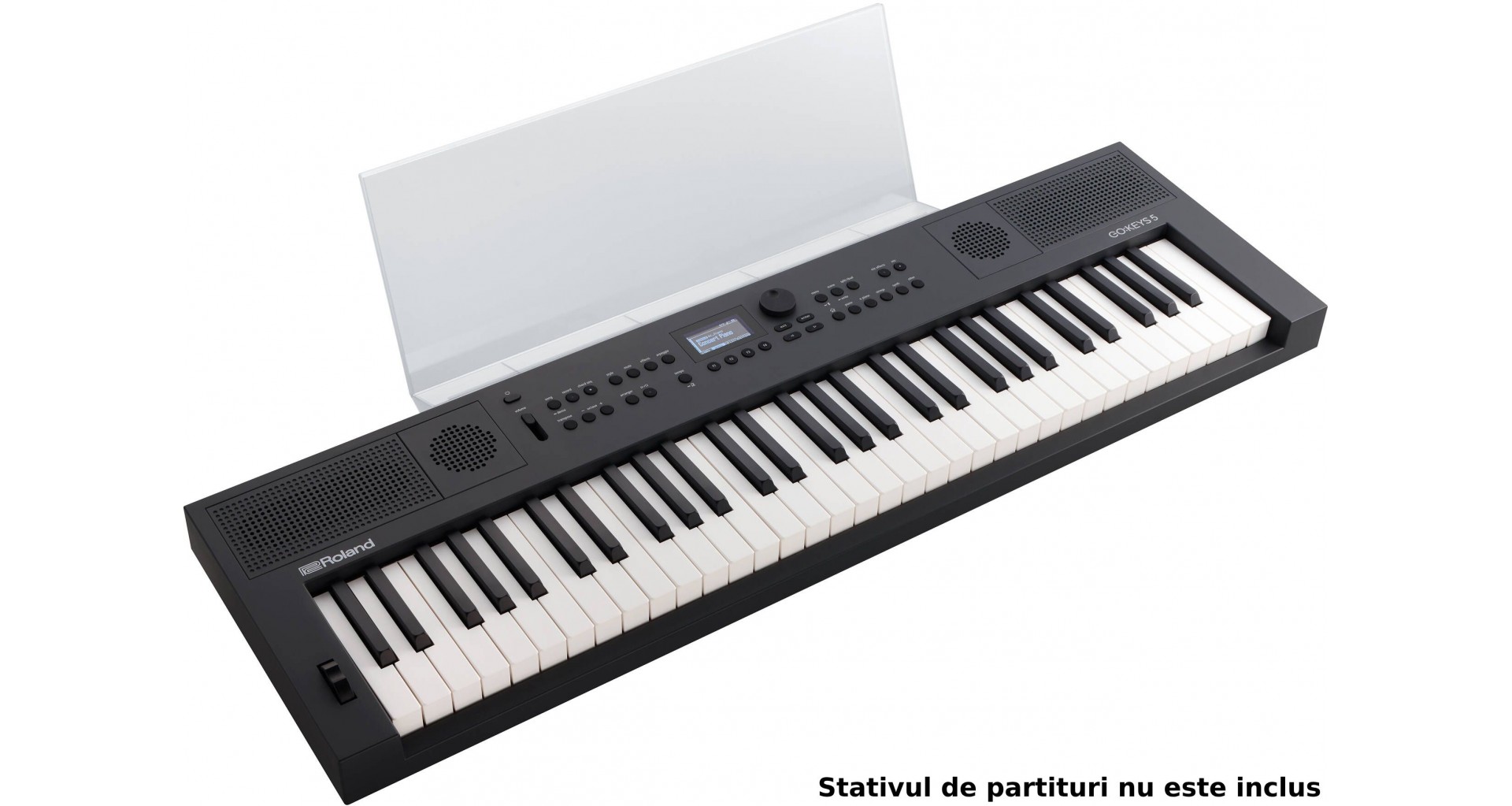 Point B.L.A.C.K OG盤 g-rap Roland GO:KEYS 5 Graphite Aranjor cu clape - Zeedo Shop