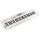 Roland Go Keys 5 White