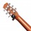 D-Addario PW-CT-26 Nexxus 360 Rechargeable