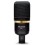 Audix A231