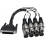 MARIAN SERAPH AD8 MKII XLR
