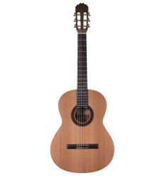 Prodipe Guitars Student 1/2
