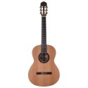 Prodipe Guitars Student 1/2