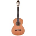 Prodipe Guitars Recital 300