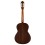 Prodipe Guitars Recital 300