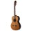 Prodipe Guitars Soloist 500