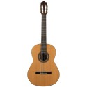Prodipe Guitars Soloist 900