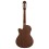 Prodipe Guitars Student CT EQ