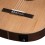 Prodipe Guitars Student CT EQ