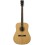 Prodipe Guitars SD150