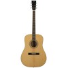 Prodipe Guitars SD150