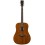 Prodipe Guitars SD250