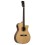 Prodipe Guitars SA150 CEQ
