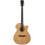 Prodipe Guitars SA300 CEQ