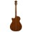 Prodipe Guitars SA300 CEQ