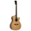 Prodipe Guitars SA300 CEQ