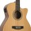 Prodipe Guitars SA300 CEQ