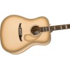 Fender LE California Vintage King Antigua