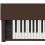 Casio AP-270 BN