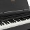 Casio AP-270 BK