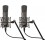 Warm Audio WA-87 R2 TS Titanium Stereo Pair