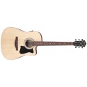 Ibanez V40CE-OPN