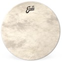 Evans EQ4 Calftone Bass 22 BD22GB4CT