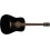 Fender CD-60S Dreadnought WN Black
