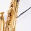 Rico by D-Addario Padded Sax Strap with Metal Hook SJA12