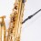 Rico by D-Addario Padded Sax Strap with Plastic Snap Hook SJA18