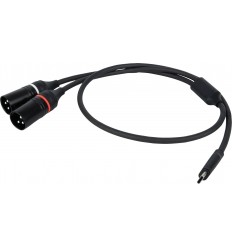 DAP Audio FL112 - USB-C to 2 XLRM 3P 1.5 m