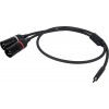 DAP Audio FL112 - USB-C to 2 XLRM 3P 1.5 m