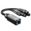 Xvive PX