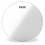 Evans G1 Clear Drumhead 10 TT10G1