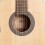 Cort AC200-34-OP with bag