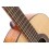 Cort AC200-34-OP with bag