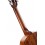 Cort AC200-34-OP with bag